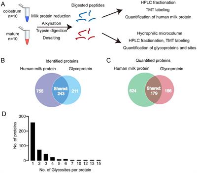 Changes in glycosylated proteins in colostrum and mature milk and their implication